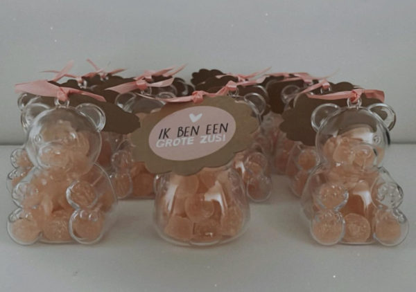 gevulde teddy beer traktatie meisje